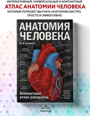 Книга Анатомия Человека: компактный Атлас-Раскраска – фото 6