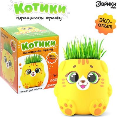 Набор для опытов "Котики. Выращиваем травку", жёлтый горшочек 6900094155881 – фото 1