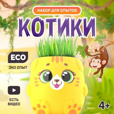 Набор для опытов "Котики. Выращиваем травку", жёлтый горшочек 6900094155881
