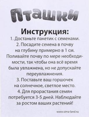 Набор для опытов Пташки, выращиваем травку, желтый горшочек 5155391-1 – фото 2