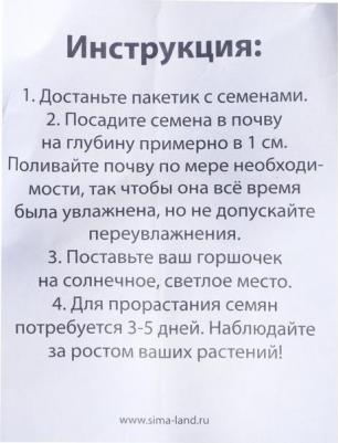 Набор для опытов Выращиваем травку, зайка 6911657-1 – фото 4