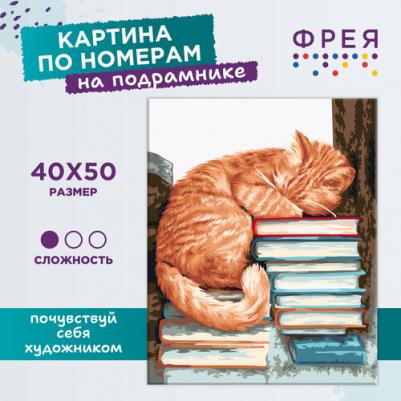 Картина Мудрый кот PNB/PL-056