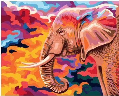 Картина по номерам "Праздник Холи", PNB-PL-032