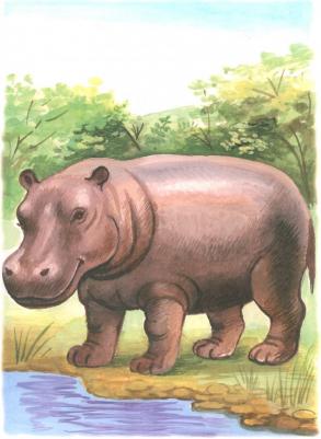 Первые уроки. Раскраска "Животные жарких стран" – фото 3