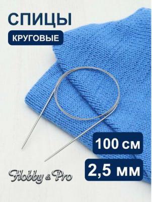 Спицы круговые металл 100см, 2,5мм 941125 – фото 2