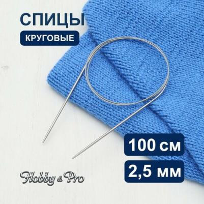 Спицы круговые металл 100см, 2,5мм 941125