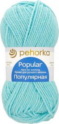 Пряжа Пехорская ПТ "Популярная" 50% шерсть, 50% акрил 10 шт.х100г 133м №073 айсберг – фото 7