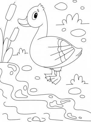 Раскраска. Домашние животные – фото 2