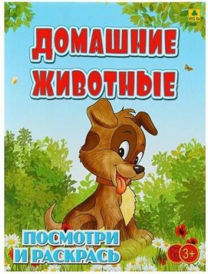 Домашние животные. Детская раскраска – фото 2