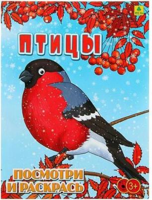 Птицы. Детская раскраска – фото 2