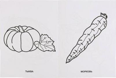 Первая раскраска "Фрукты и овощи" 196726 – фото 4