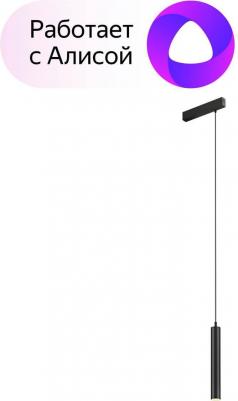 DK8008-BK – фото 4