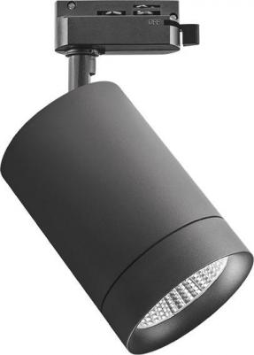 303274 – фото 1