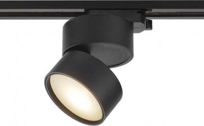 TR007-1-12W4K-B – фото 1