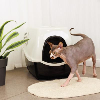 Туалет для кошек закрытый Bill c двумя угольными фильтрами, черный – фото 6