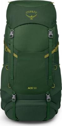 Ace 50 – фото 11