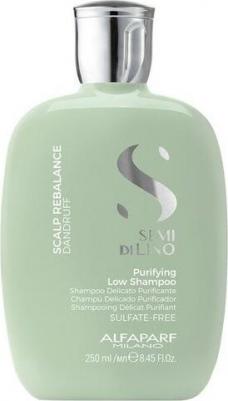 Шампунь энергетический против выпадения волос / SDL SCALP ENERGIZING LOW SHAMPOO 250 мл – фото 1