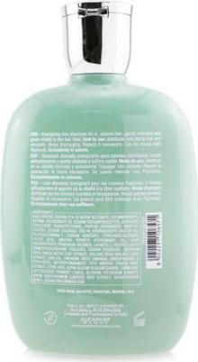 Шампунь энергетический против выпадения волос / SDL SCALP ENERGIZING LOW SHAMPOO 250 мл – фото 2