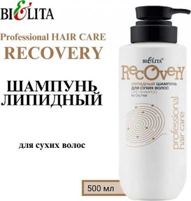 Шампунь для волос Липидный шампунь для сухих волос Professional HAIR CARE – фото 2