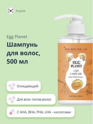 Шампунь для очищения кожи головы с кислотами Egg Planet Scalp Scaling Shampoo, 500 мл – фото 4