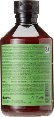 Шампунь обновляющий / Naturaltech Renewing Shampoo 250 мл – фото 1