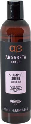 Shampoo Shine Шампунь для окрашенных волос с маслами черной смородины виноградных косточек и сладкого миндаля 250мл