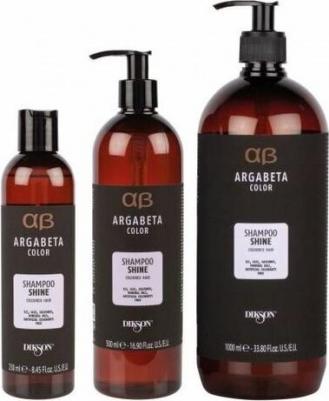 Шампунь для волос для окрашенных волос Argabeta Shampoo Shine с маслами черной смородины, виноградных косточек и сладкого миндаля 1000 мл
