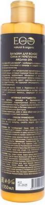 Бальзам для волос ARGANA SPA, 350 мл – фото 2