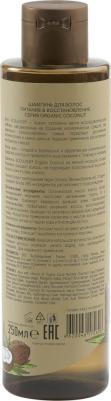 Шампунь для волос Organic Coconut Питание & Восстановление 250мл – фото 2