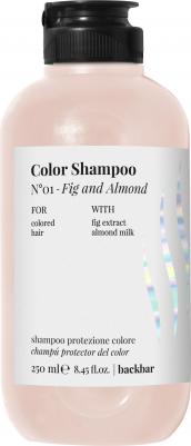 Шампунь для защиты цвета и блеска волос / BACK BAR COLOR SHAMPOO №01 250 мл – фото 1