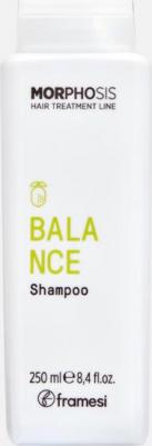 Шампунь для решения проблем жирной кожи головы BALANCE SHAMPOO 250 мл