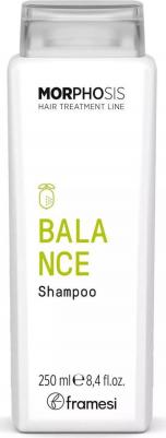 Шампунь для решения проблем жирной кожи головы BALANCE SHAMPOO 250 мл – фото 4