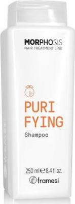 Шампунь от перхоти для глубокого очищения PURIFYING SHAMPOO 250 мл