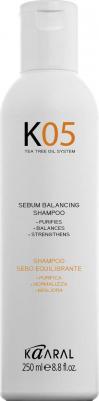 Шампунь для восстановления баланса секреции сальных желез / Shampoo Seboequilibrante K05 250 мл