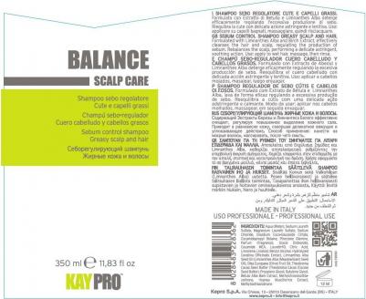 шампунь себорегулирующий для жирных волос, 350 мл – фото 2