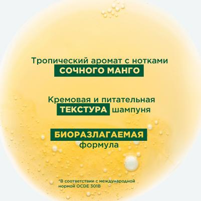Шампунь с маслом манго, 400 мл (Dry Hair) – фото 4