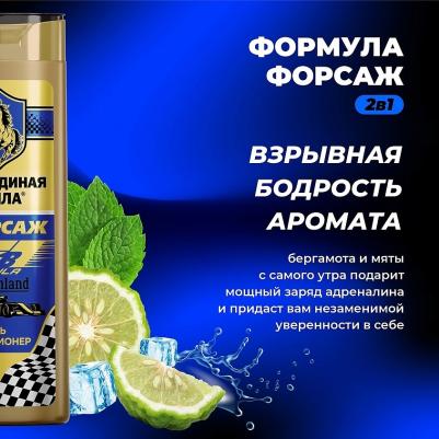 Шампунь для волос Форсаж Гренландия против перхоти 2в1 мужской 400мл – фото 17