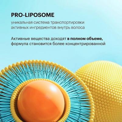 Кондиционеры, бальзамы и маски Кондиционер Антиоксидантная защита цвета окрашенных волос Oblepikha Siberica – фото 2