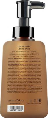 Шампунь для волос Мудрость Shades of Siberia Wisdom Hair Shampoo – фото 2