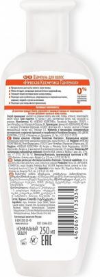 Шампунь для ослабленных и повреждённых волос Пантенол, 250 мл – фото 2