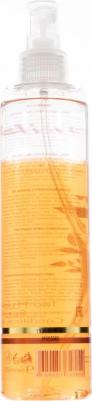Professional Двухфазный спрей-кондиционер Two-Phase Spray-Conditioner, 250 мл – фото 6