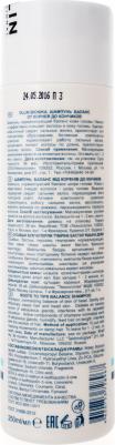 Professional Шампунь Баланс от корней до кончиков Roots To Tips Balance Shampoo, 250 мл, 250 мл