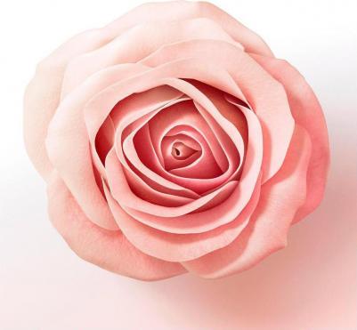 Бальзам-ополаскиватель для волос Miracles Объем от корней до кончиков биотин розовая вода, 200 мл – фото 7