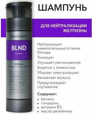 Шампунь для нейтрализации желтизны Shampoo to neutralize yellowness 250 мл – фото 1