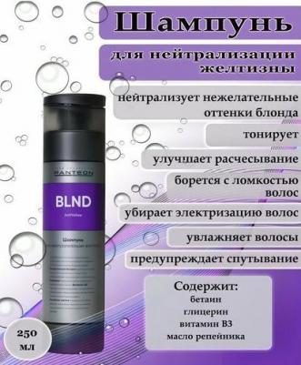 Шампунь для нейтрализации желтизны Shampoo to neutralize yellowness 250 мл – фото 4