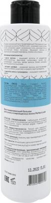 Лук бальзам для сухих и поврежденных волос восстанавливающий 250мл – фото 3