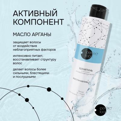 Лук шампунь для сухих и поврежденных волос восстанавливающий 250мл – фото 2