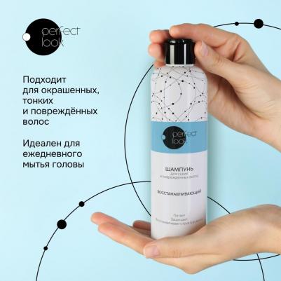 Лук шампунь для сухих и поврежденных волос восстанавливающий 250мл – фото 4