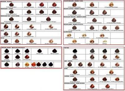 Кондиционер двухфазный питательный Bi-Phase, 120 мл – фото 4