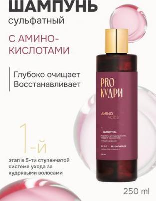Шампунь для волос Шампунь для кудрявых волос с аминокислотами – фото 1